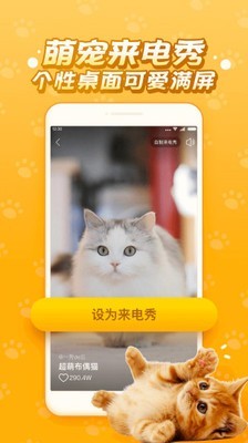 逗猫咪app_逗猫咪安卓软件免费版v6.6.6.1